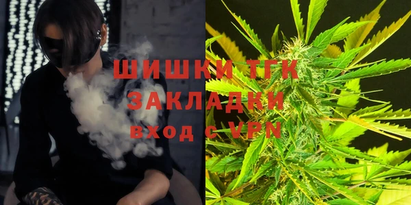 гидра Протвино